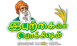store-logo
